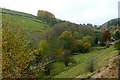 Afon Dulas near Tylwch