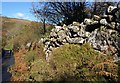 Wall near Yarner Wells