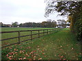 Paddocks in Exning near Newmarket