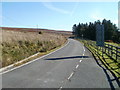 Western edge of Blaenavon Community Woodland