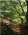 Bridleway from Yarner Wells