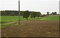 Looking across to Sandfield Farm