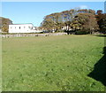 Middle Coedcae Garden of Rest, Blaenavon