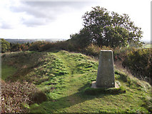 ST9101 : Spettisbury Rings trig point by michael ely