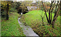 Stream near Downpatrick