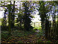 Footpath to Hill Farm Road