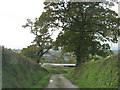 Grass grows in the centre of the road to Upton