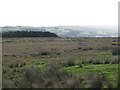 Moorland west of Parkhead Plantation