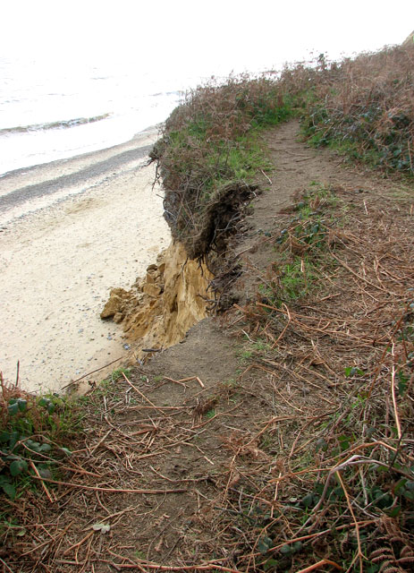 Topsoil hanging over the edge at Covehithe