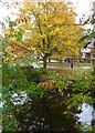 Looking across the mill stream to Tanners Street