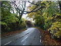 Railway bridge near Wadhurst