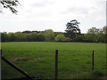 TQ4225 : Field near Moyse's Farm by N Chadwick