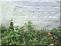 Benchmark on the chimney breast of 