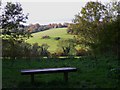 View west from bridleway near Polesden Lacey