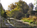 Bury & Bolton Canal