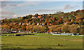 Haydon Bridge