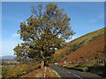 A823 in Glen Eagles