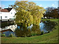 The village pond at Cranswick