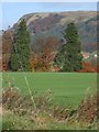 Benarty Hill and Ballingry road houses