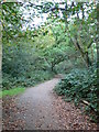 TQ1974 : Path through woodland at East Sheen Common by Eirian Evans