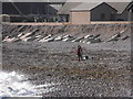 Fishing at Bay of Bervie, Inverbervie