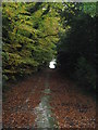 Bridleway near Thatched Cottage