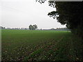 Bridleway to Denne Hill Farm