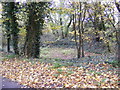 Dried up pond off Chapel Road