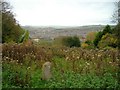 View from Sham Castle towards Bath