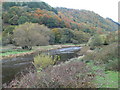 SH7765 : Autumn colours in the Conwy valley by Eirian Evans