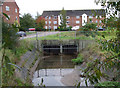 Culvert and Stream