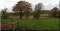 Fields on north side of road near Knockieston