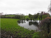 H5070 : Floods, Donaghanie by Kenneth  Allen
