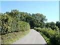 Road to Glen Usk approaching trees