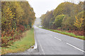 A828 near Barcaldine