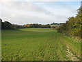 Byway to Dumbrill Hill