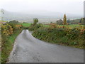 Descending to the Conwy Valley