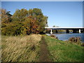 Teesdale Way approaching Surtees Bridge