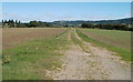 ST3794 : Track through fields SW of Tredunnock by Jaggery