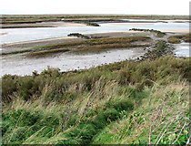 TF8444 : Mudflats and breakwaters in Overy Creek by Evelyn Simak
