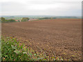 Arable land near Redgate Wood - 2