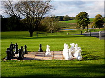 H3905 : Outdoor chess anyone? by D Gore