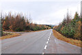 Road to the Ski Centre at Aonach Mor