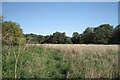 SP1866 : Field by Kingswood Brook by Robin Stott