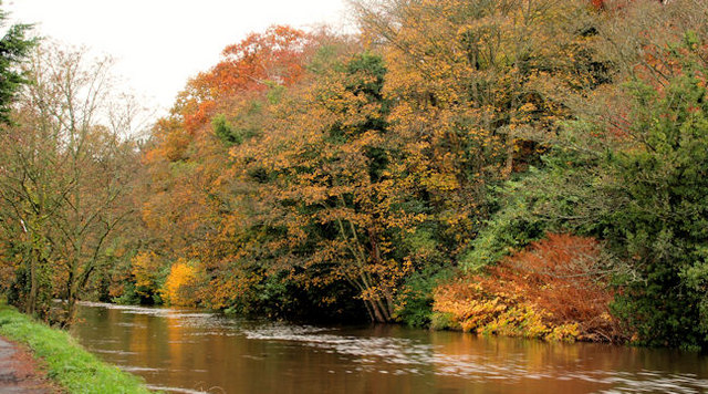 Autumn colours at Lambeg