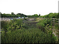 A11 drainage ponds