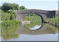 Terrace Bridge near Congerstone, Leicestershire