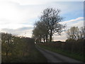 The lane to Manor Farm, East Firsby