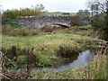 Over the Shotton burn