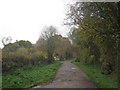 Lane to Challands Farm